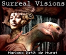 Mariano Petit de Murat's virtual art gallery