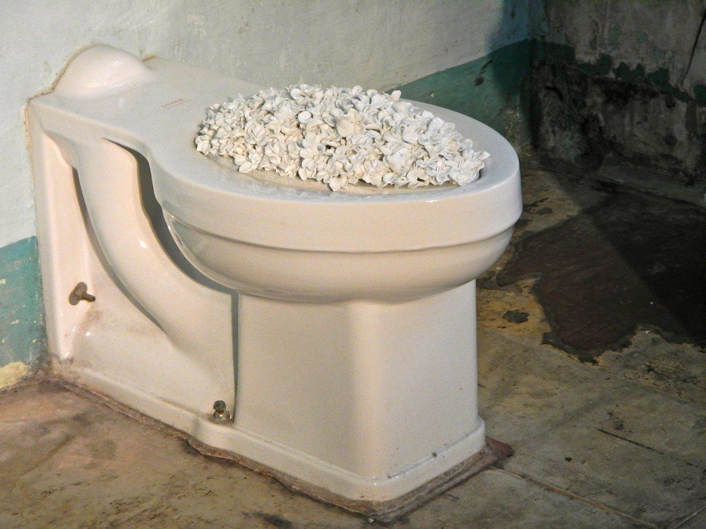 Porcelain Petal Toilet